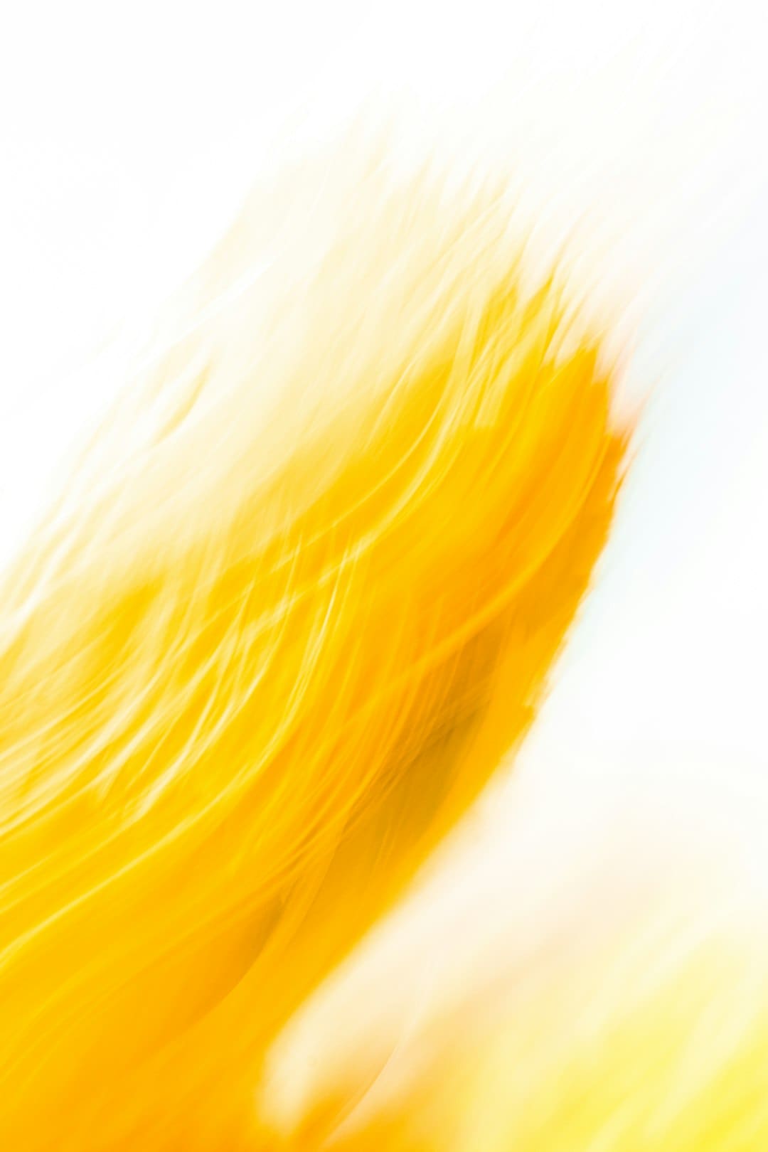 https://j.rednet.cn/images/qr-shike1.png